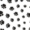 All Occasion Puppy Paws Wrapping Tissue (20"x30")